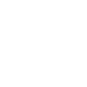 Send twitter
